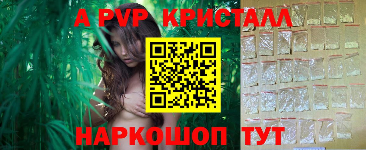 APVP СК КРИС Балтийск