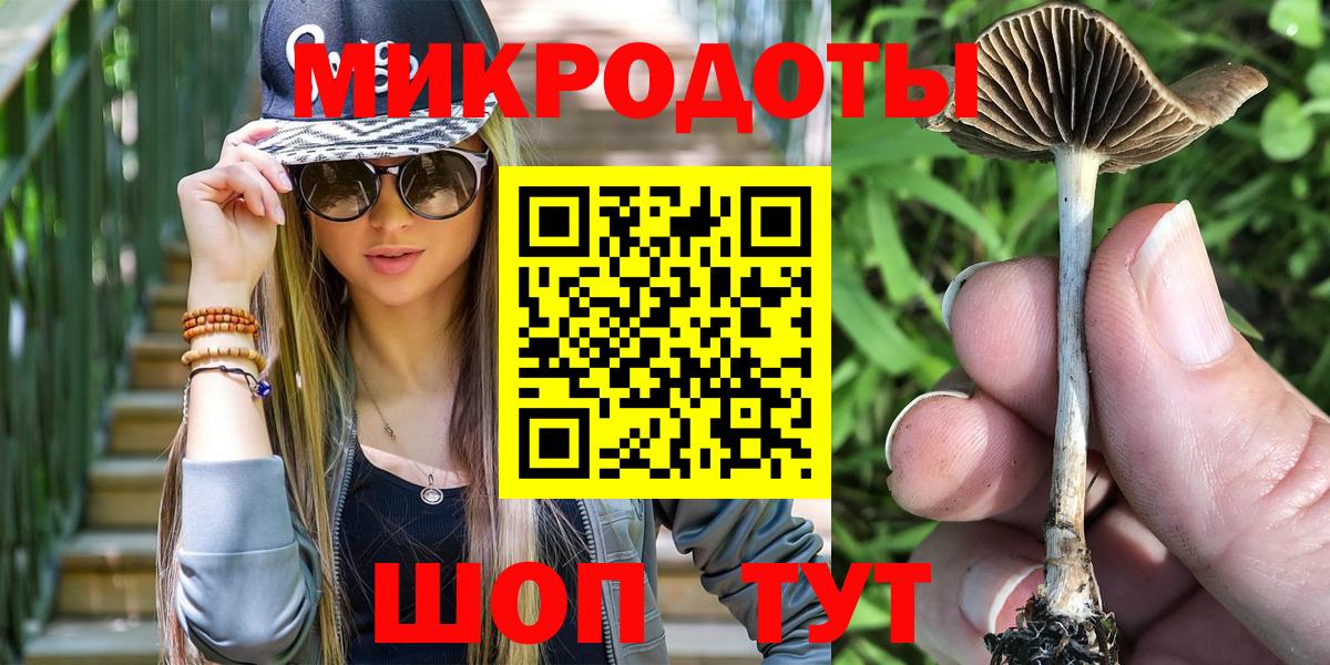 Галлюциногенные грибы MAGIC MUSHROOMS Балтийск