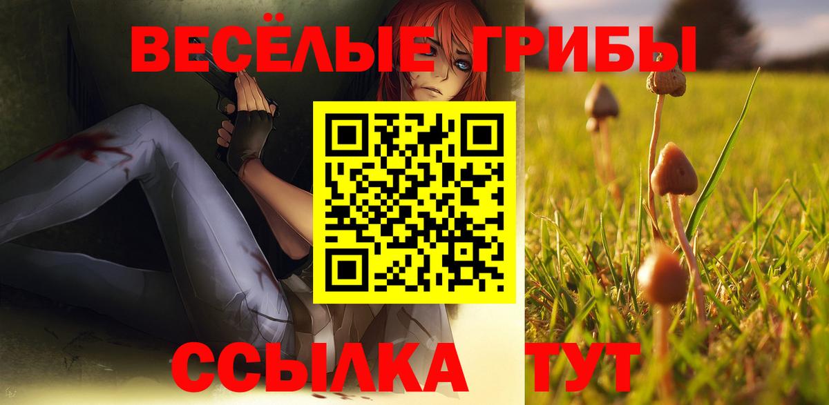 Галлюциногенные грибы Cubensis  Вход с VPN  Галлюциногенные грибы мухоморы  Балтийск 